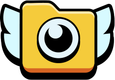 Record Icon